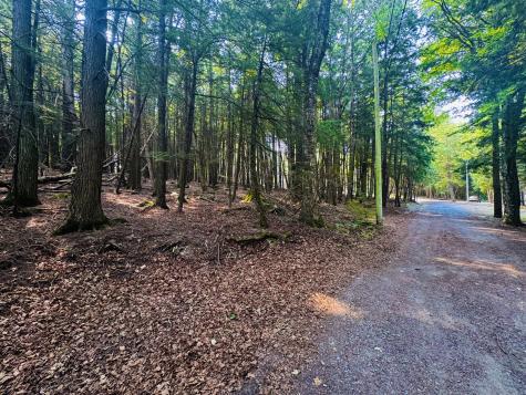 M11 Loon Lane Saint Albans ME 04971