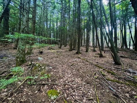 M11 Loon Lane Saint Albans ME 04971