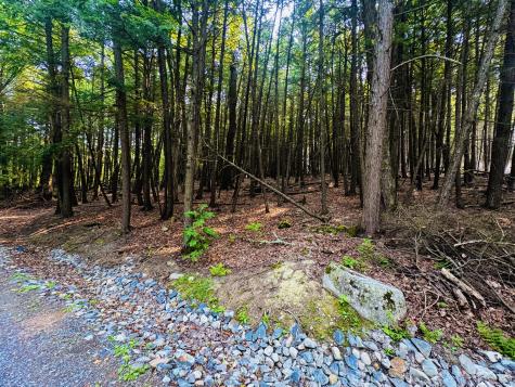 M11 Loon Lane Saint Albans ME 04971