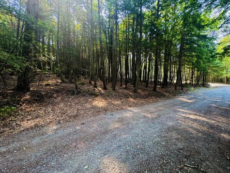 M11 Loon Lane Saint Albans ME 04971