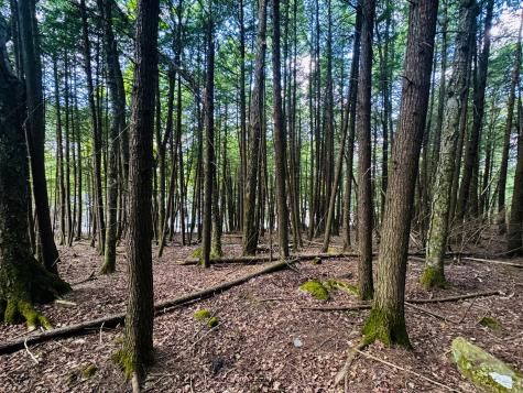 M11 Loon Lane Saint Albans ME 04971