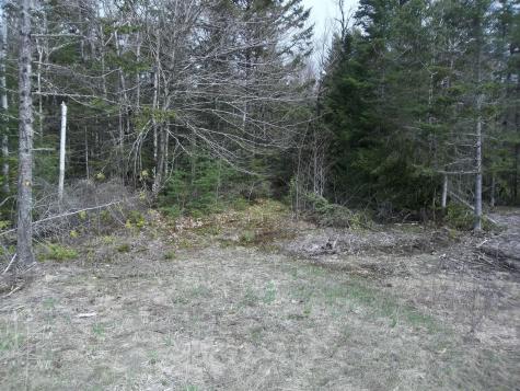 M75 L3 Airline Road Alexander ME 04694