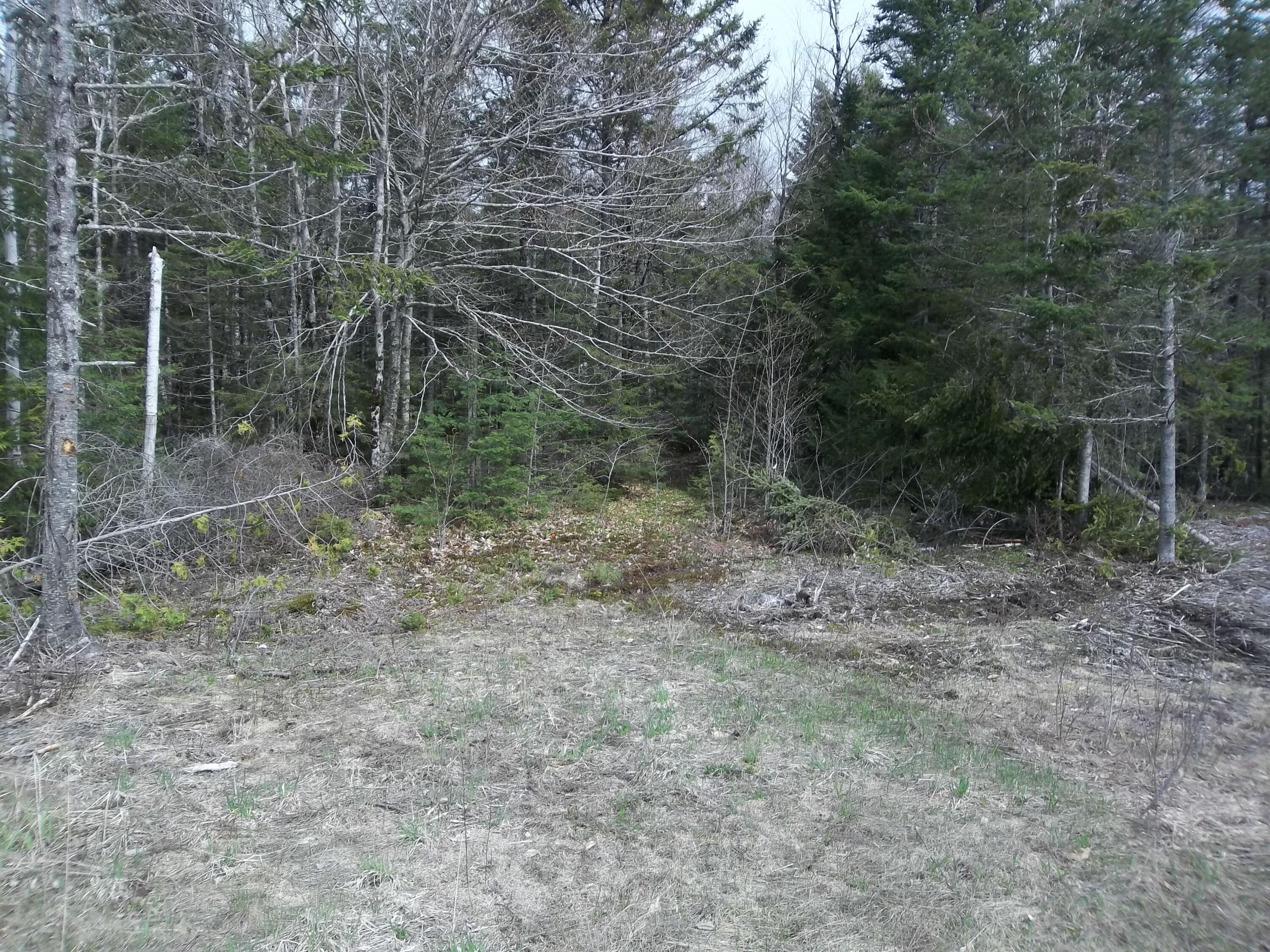 M75 L3 Airline Road Alexander ME 04694