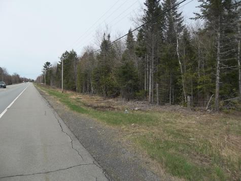 M75 L3 Airline Road Alexander ME 04694
