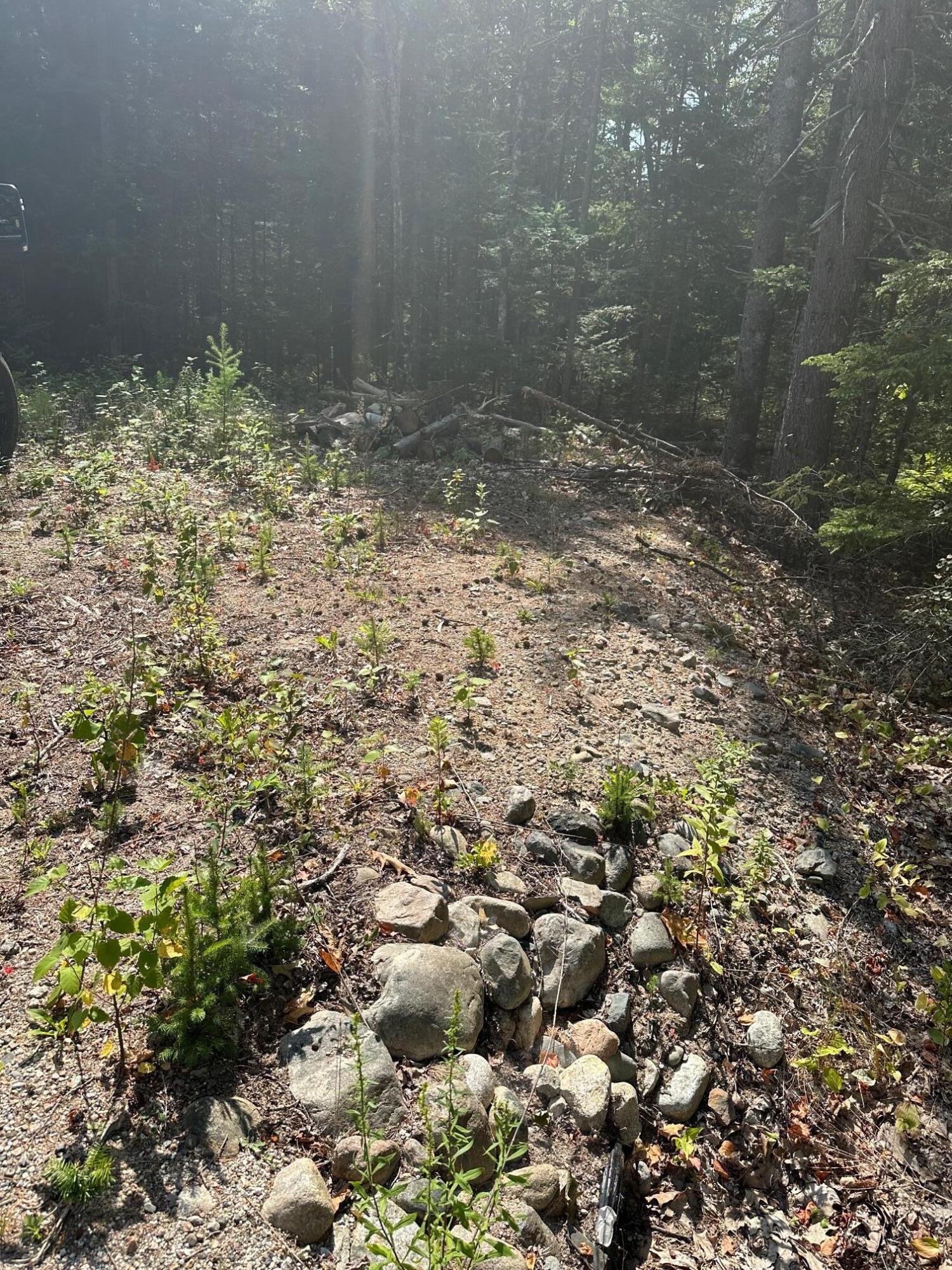 0 Route 1- 0 Gouldsboro Point Road Gouldsboro ME 04607