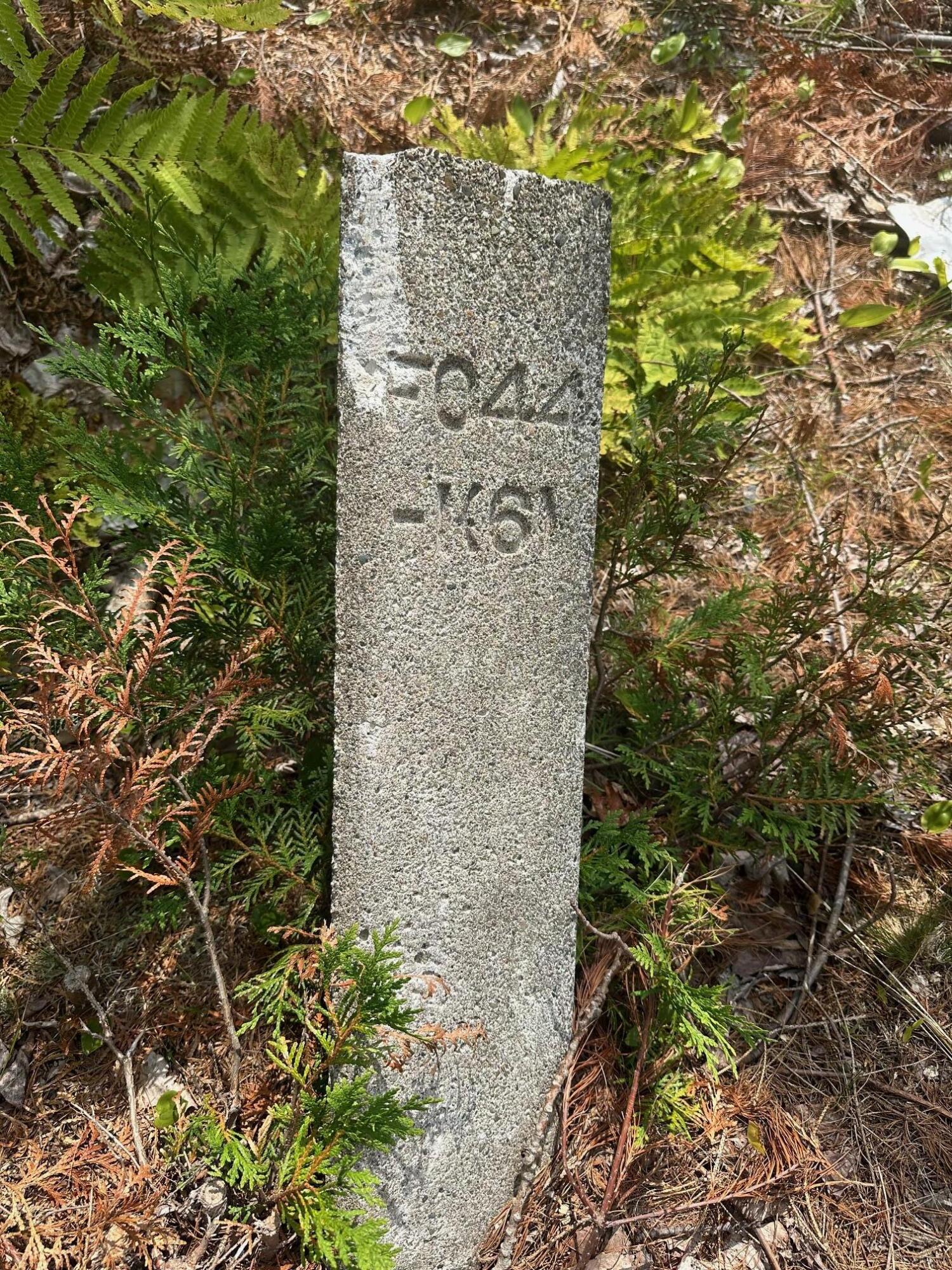 0 Route 1- 0 Gouldsboro Point Road Gouldsboro ME 04607