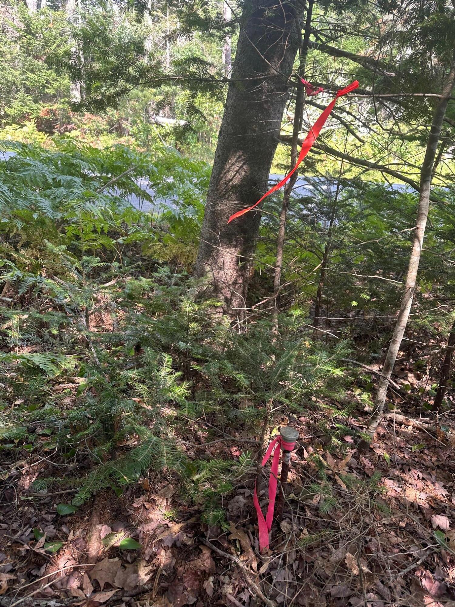 0 Route 1- 0 Gouldsboro Point Road Gouldsboro ME 04607