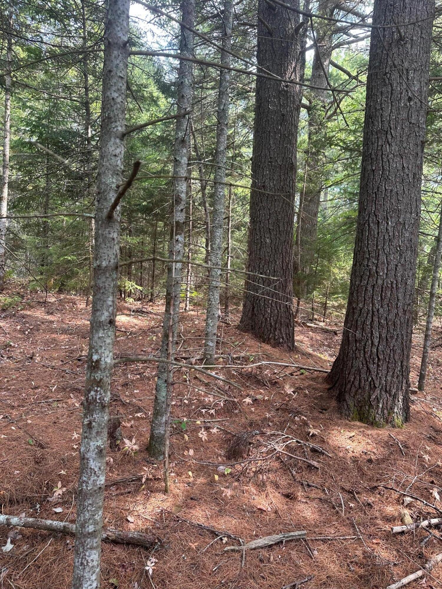 0 Route 1- 0 Gouldsboro Point Road Gouldsboro ME 04607