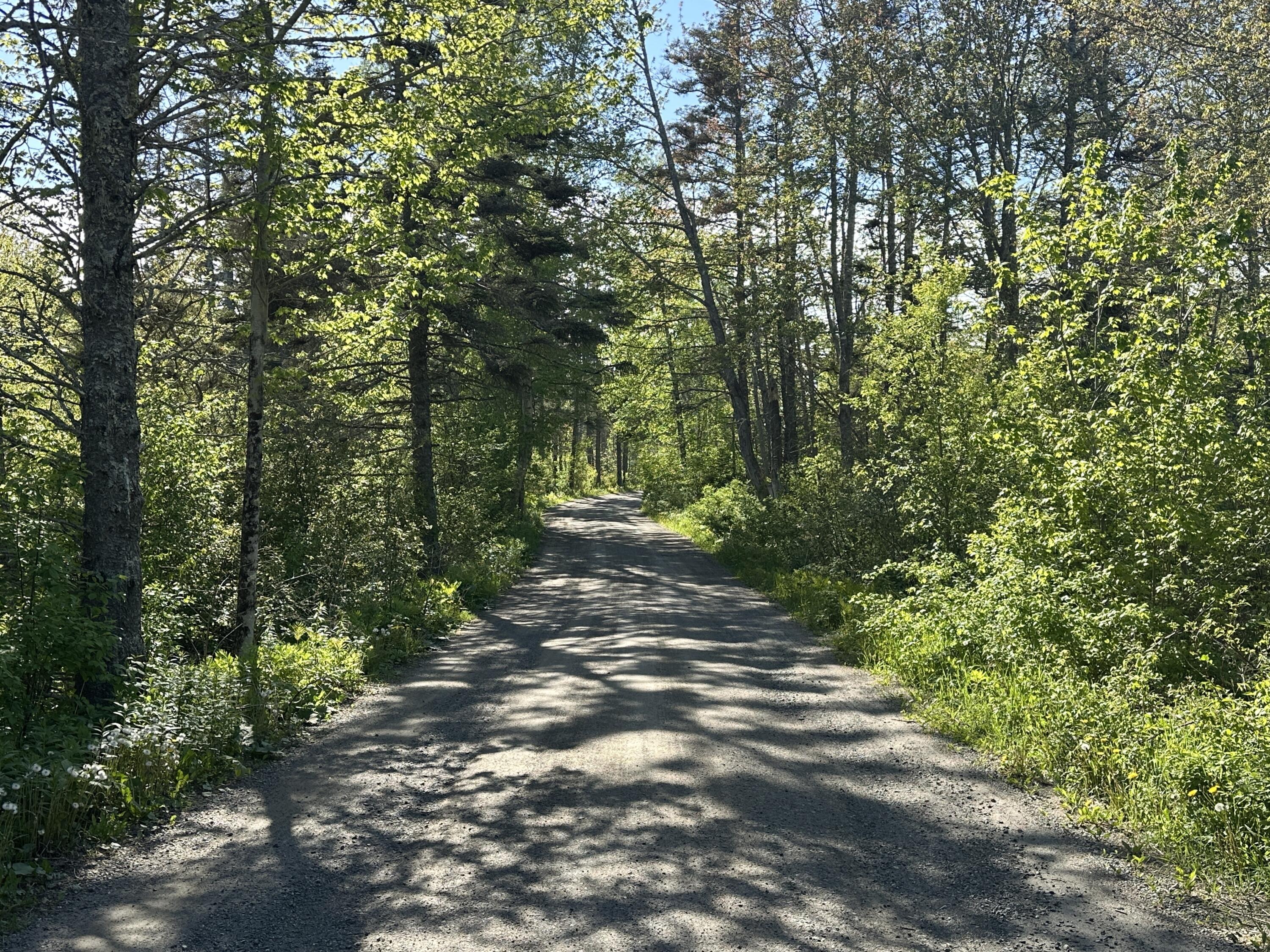 Lot #51 Shumaker Lane Saint George ME 04860