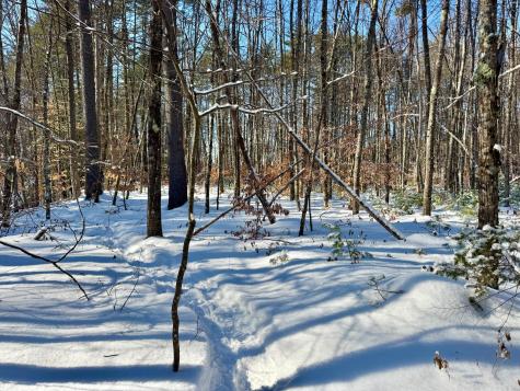 Tbd Swans Falls Road Fryeburg ME 04037