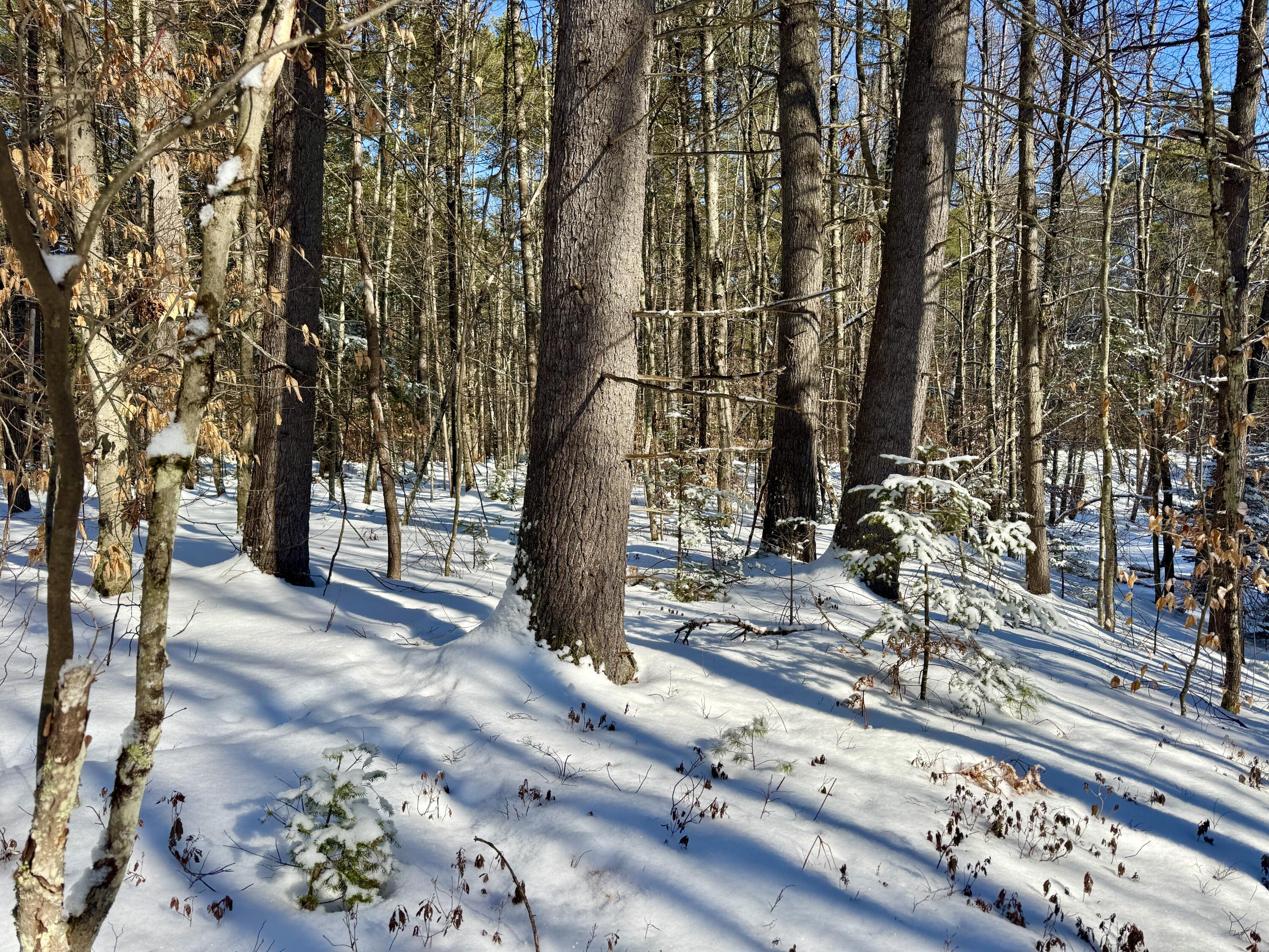 Tbd Swans Falls Road Fryeburg ME 04037