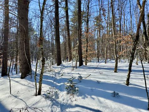 Tbd Swans Falls Road Fryeburg ME 04037