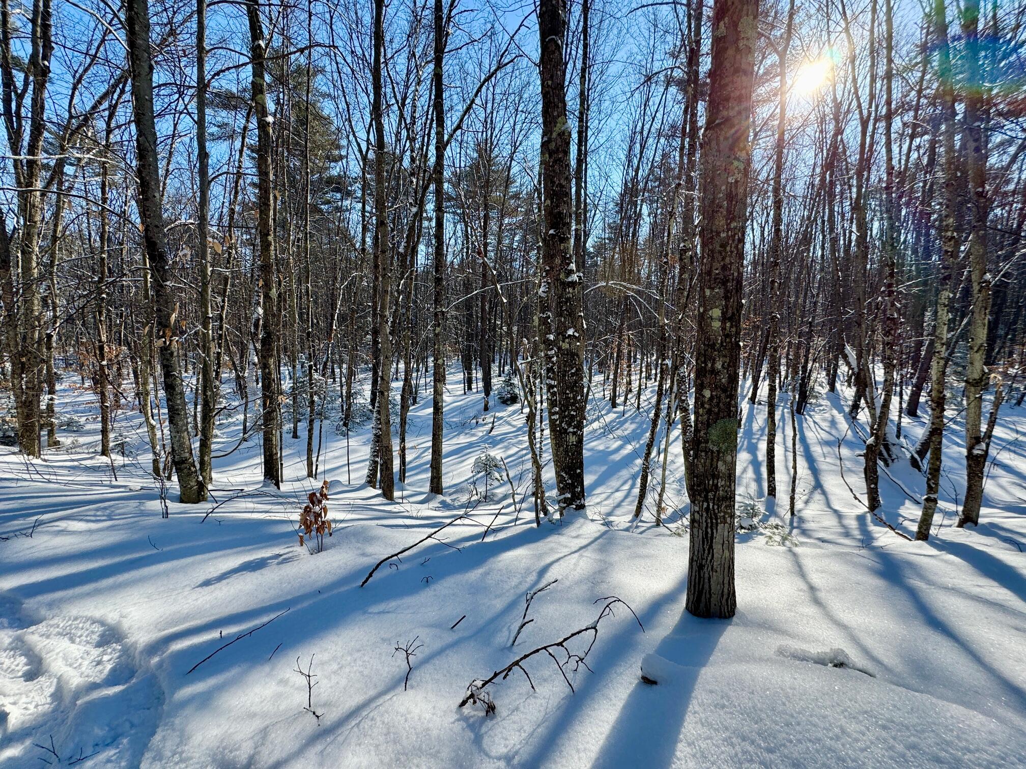 Tbd Swans Falls Road Fryeburg ME 04037