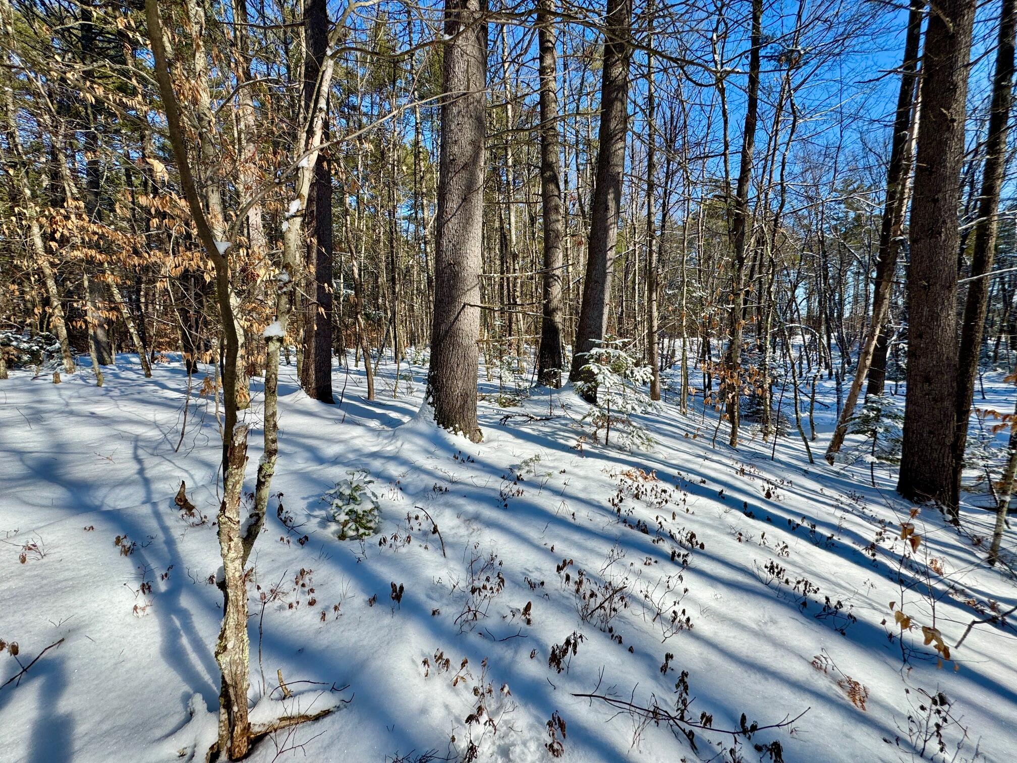 Tbd Swans Falls Road Fryeburg ME 04037