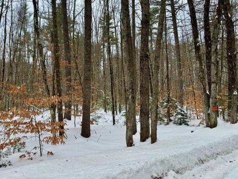 Tbd Swans Falls Road Fryeburg ME 04037