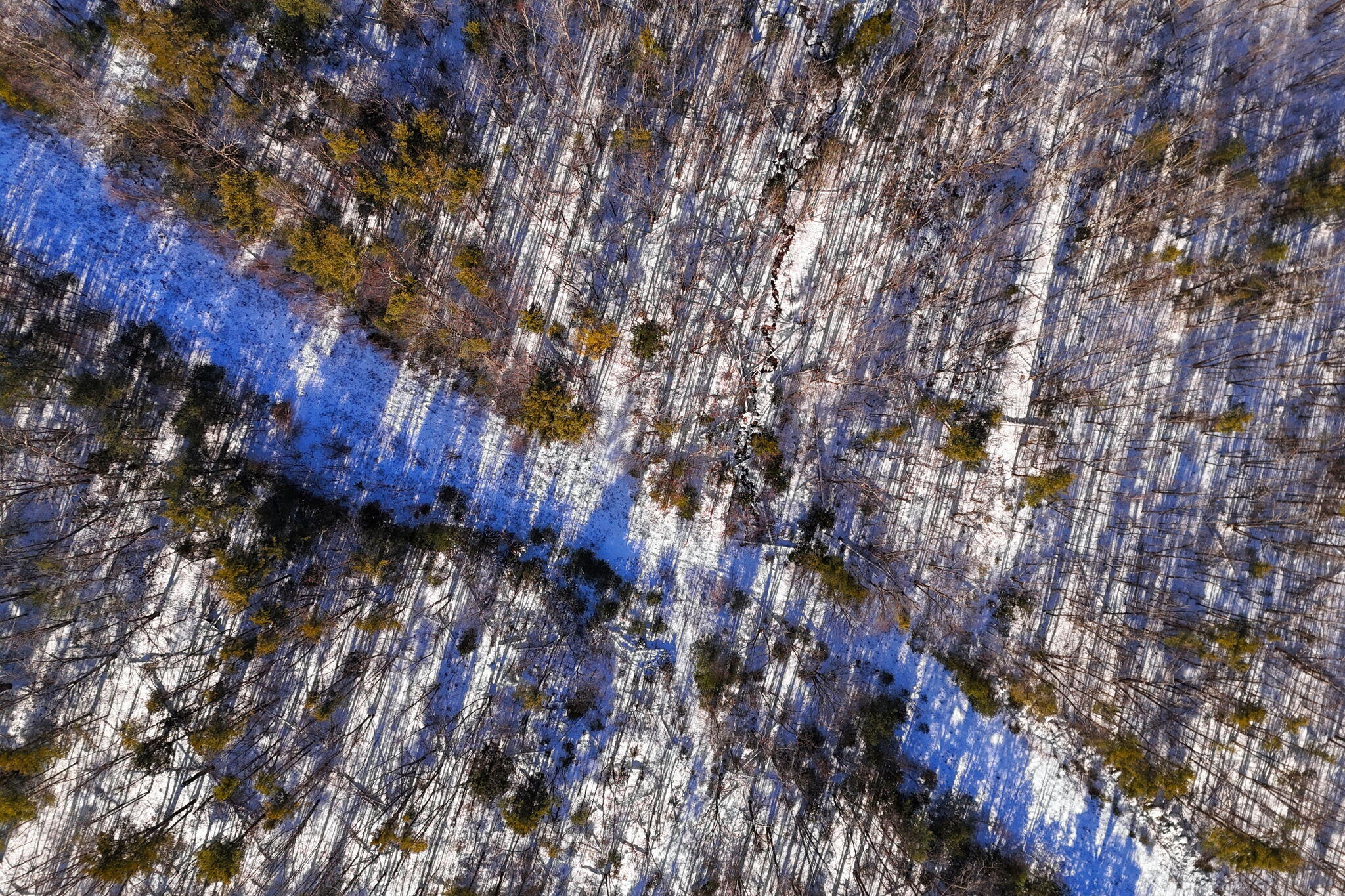 00 River Road Bucksport ME 04416