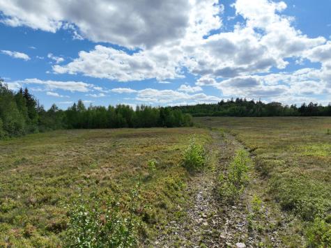 18-05 Number 9 Road Cutler ME 04626