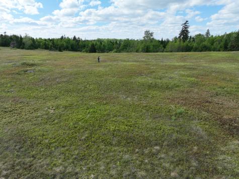 18-05 Number 9 Road Cutler ME 04626