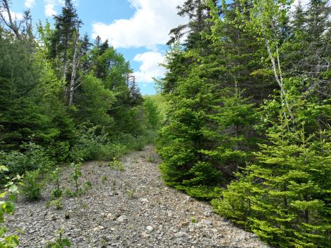 18-05 Number 9 Road Cutler ME 04626