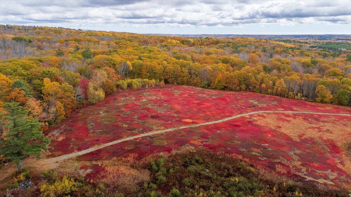 Map 4 Lot 3 Clarry Hill Lane Union ME 04862