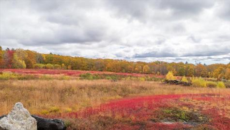 Map 4 Lot 3 Clarry Hill Lane Union ME 04862