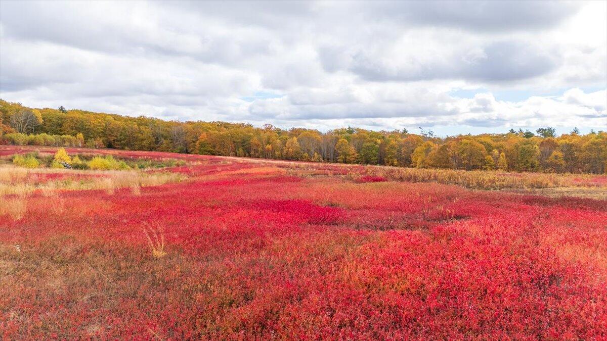 Map 4 Lot 3 Clarry Hill Lane Union ME 04862