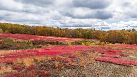 Map 4 Lot 3 Clarry Hill Lane Union ME 04862