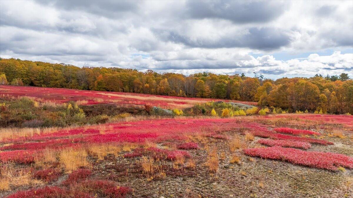 Map 4 Lot 3 Clarry Hill Lane Union ME 04862