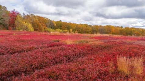 Map 4 Lot 3 Clarry Hill Lane Union ME 04862