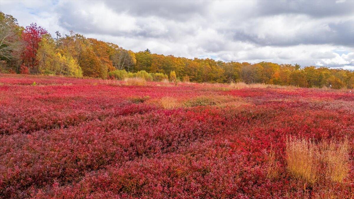 Map 4 Lot 3 Clarry Hill Lane Union ME 04862