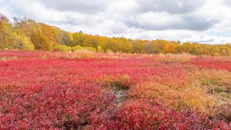 Map 4 Lot 3 Clarry Hill Lane Union ME 04862