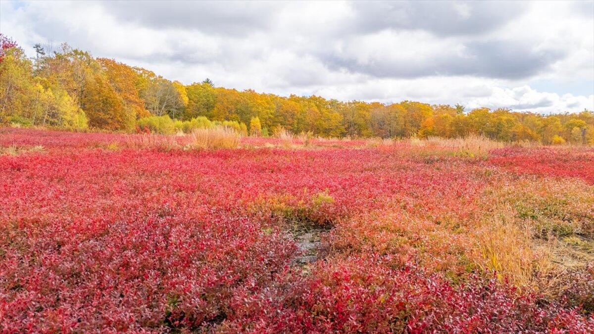 Map 4 Lot 3 Clarry Hill Lane Union ME 04862