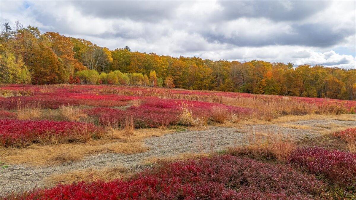 Map 4 Lot 3 Clarry Hill Lane Union ME 04862