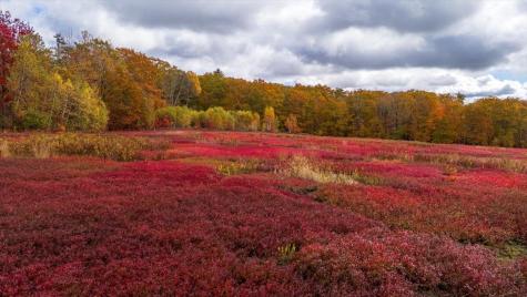 Map 4 Lot 3 Clarry Hill Lane Union ME 04862