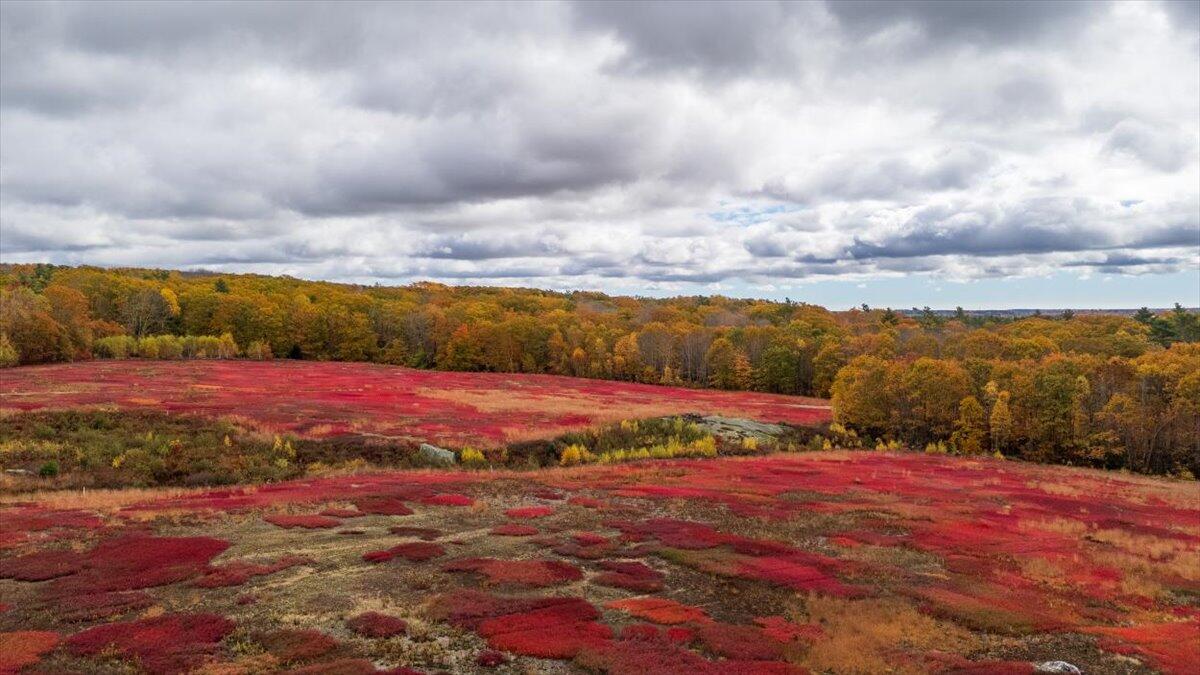 Map 4 Lot 3 Clarry Hill Lane Union ME 04862