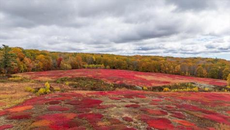 Map 4 Lot 3 Clarry Hill Lane Union ME 04862