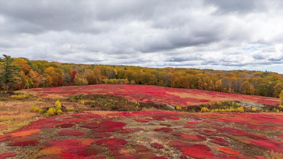 Map 4 Lot 3 Clarry Hill Lane Union ME 04862