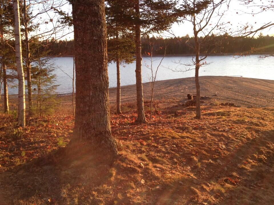 1 Eagle Island Mariaville ME 04605