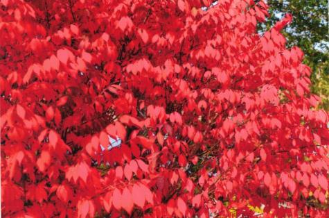 642 Federal Road Livermore ME 04253