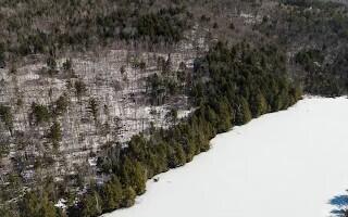 M5L38-1 North Shore Of Center Pond Sangerville ME 04479