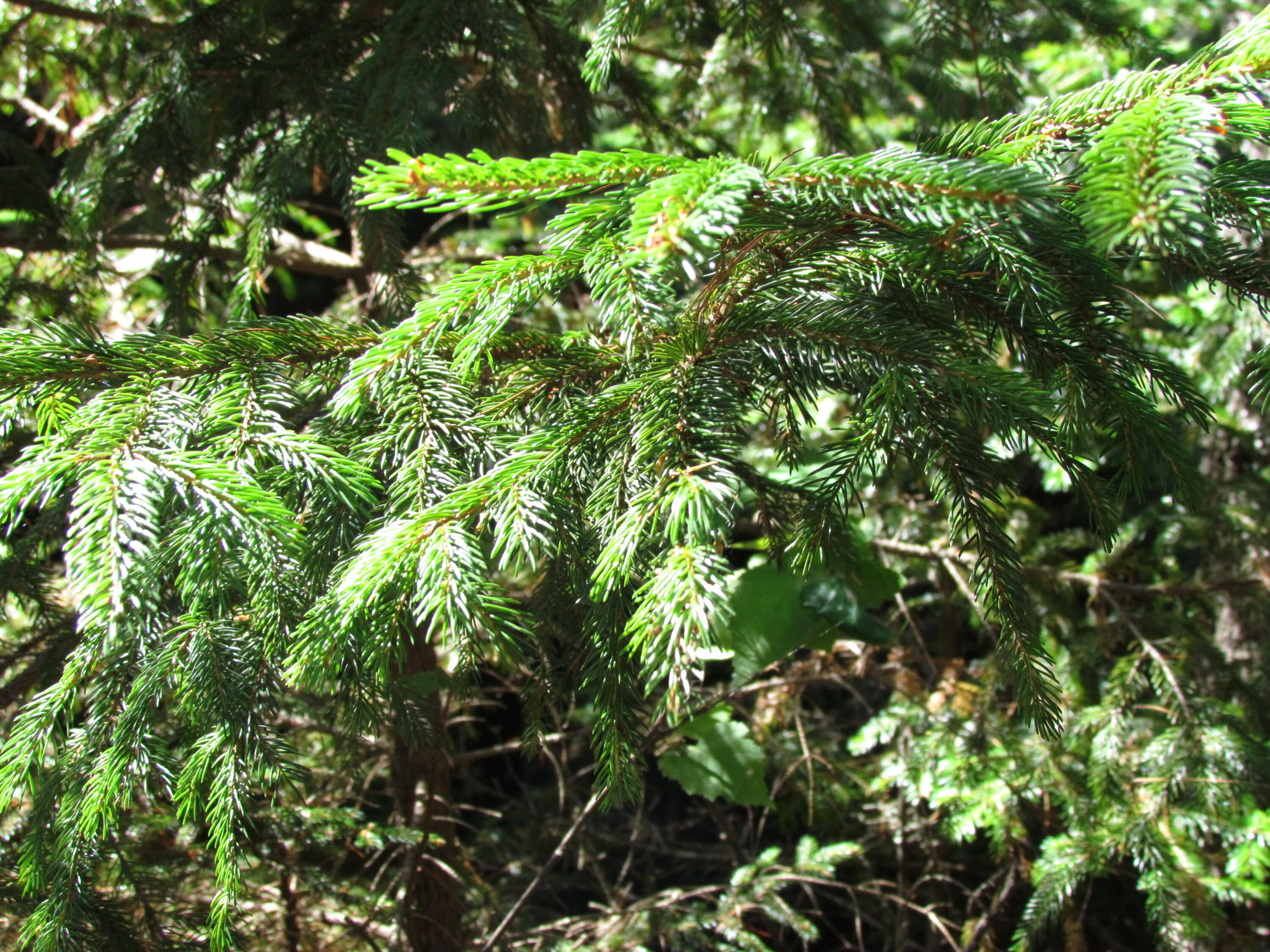 427 Old County Road Waldoboro ME 04572