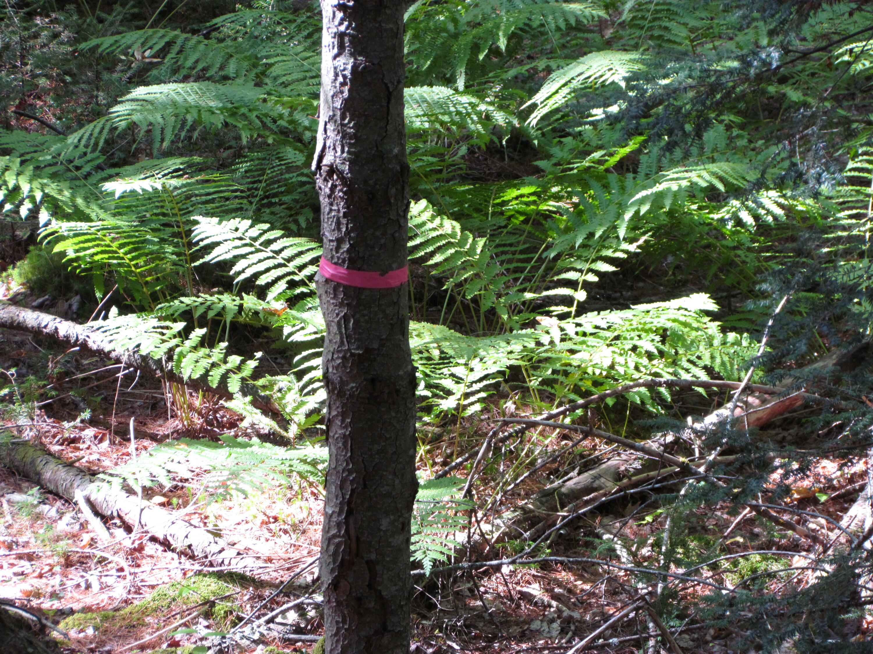 427 Old County Road Waldoboro ME 04572