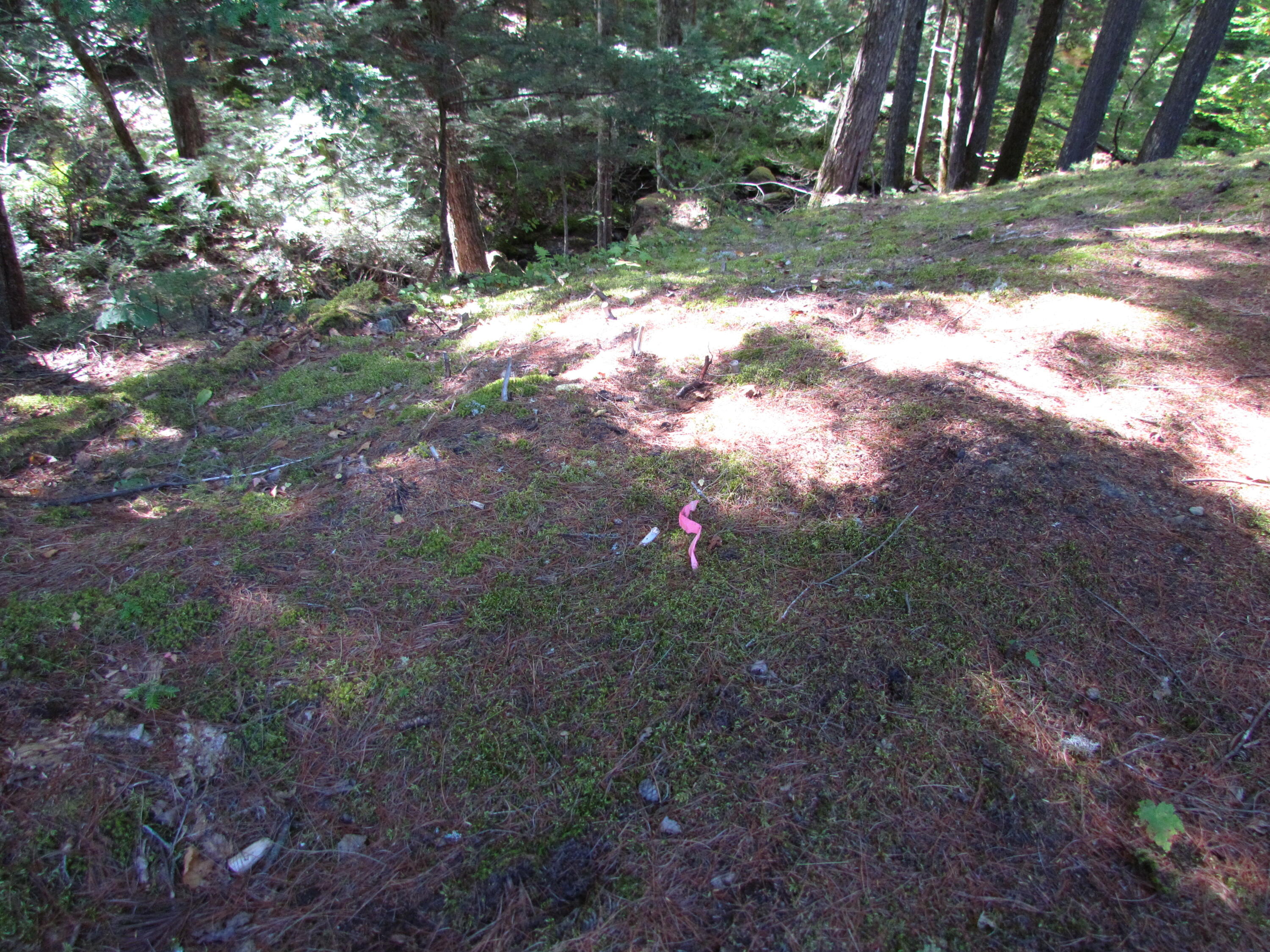 427 Old County Road Waldoboro ME 04572