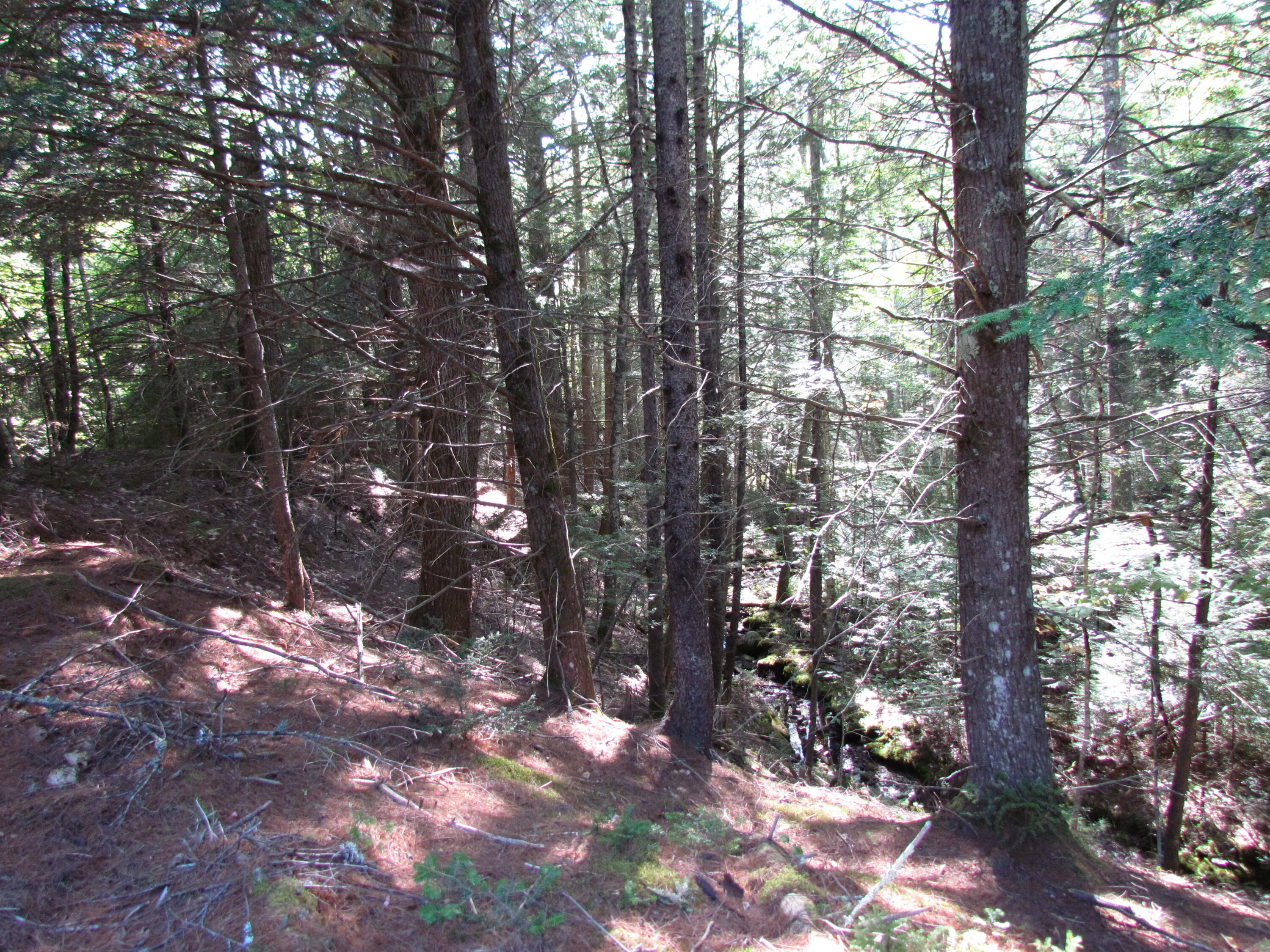 427 Old County Road Waldoboro ME 04572