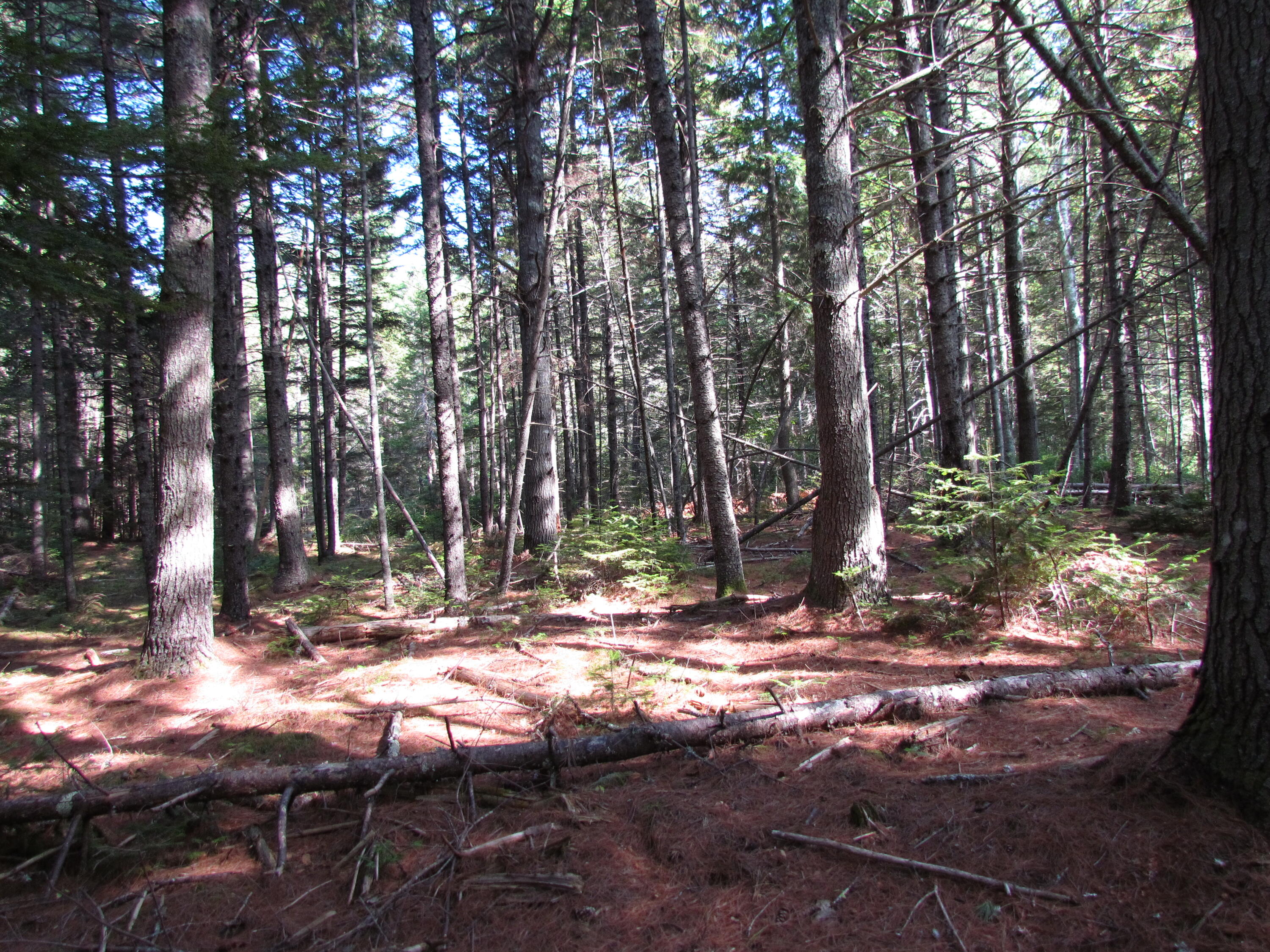 427 Old County Road Waldoboro ME 04572