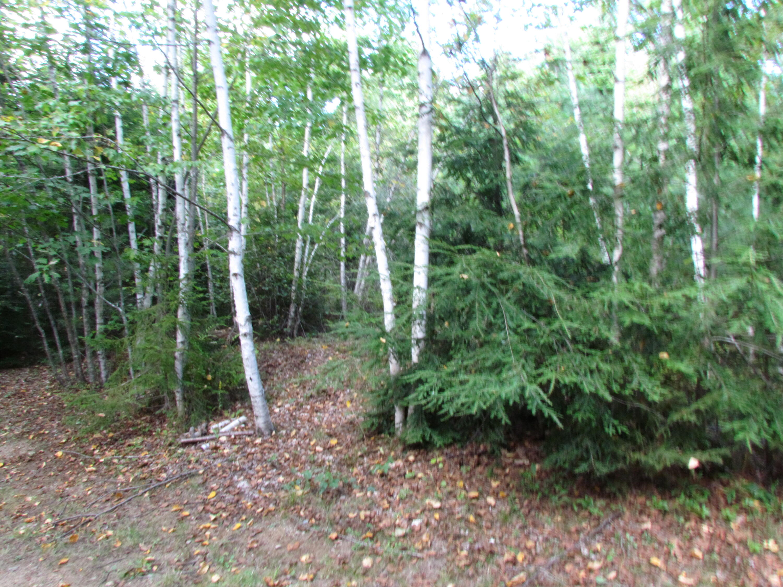 427 Old County Road Waldoboro ME 04572