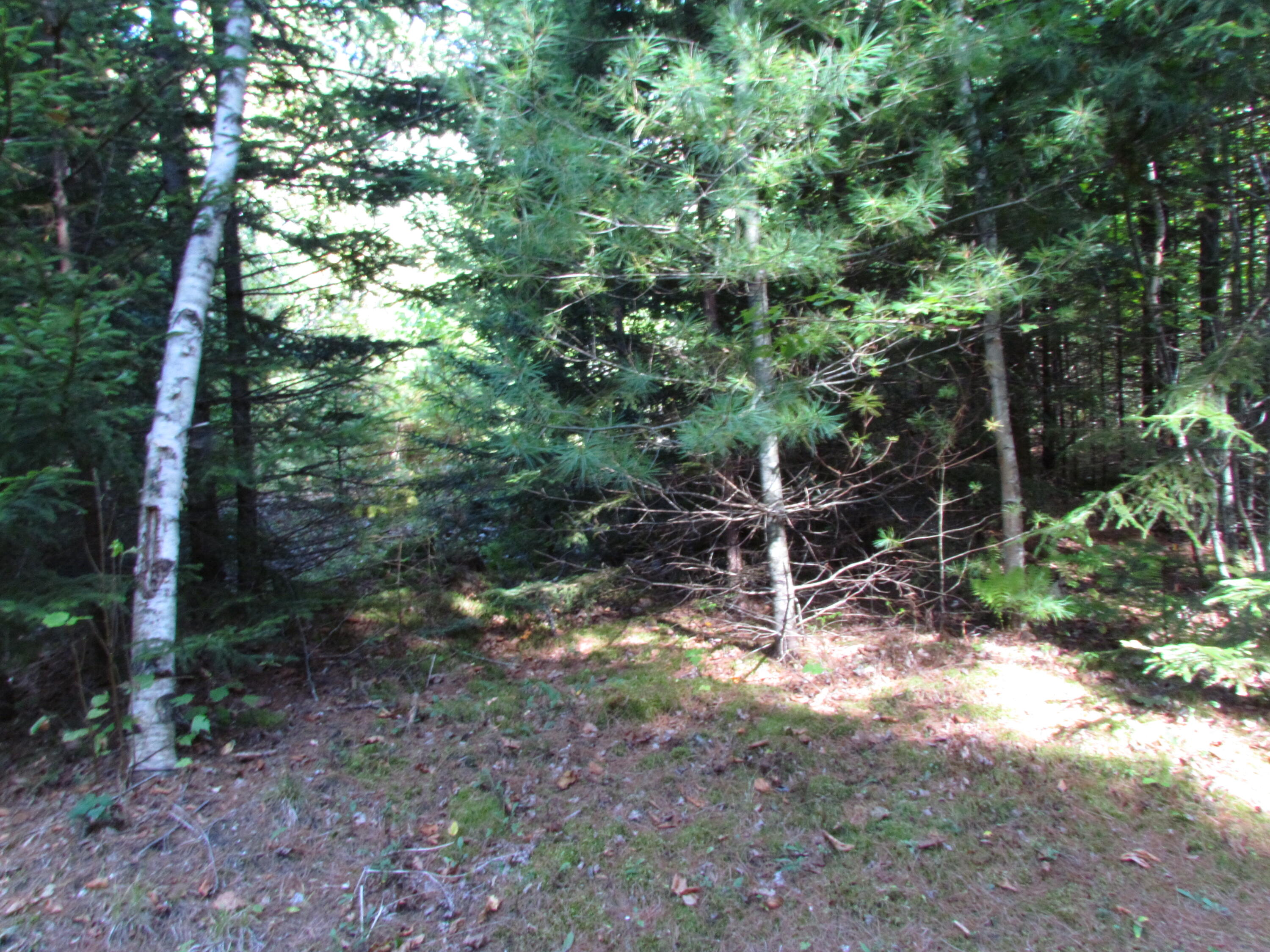 427 Old County Road Waldoboro ME 04572