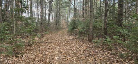 Map R7 Lot 21 River Road Solon ME 04979