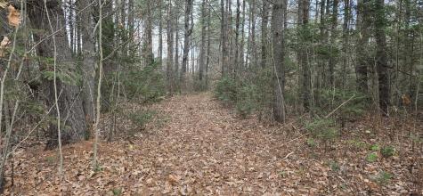 Map R7 Lot 21 River Road Solon ME 04979