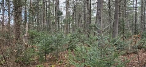 Map R7 Lot 21 River Road Solon ME 04979